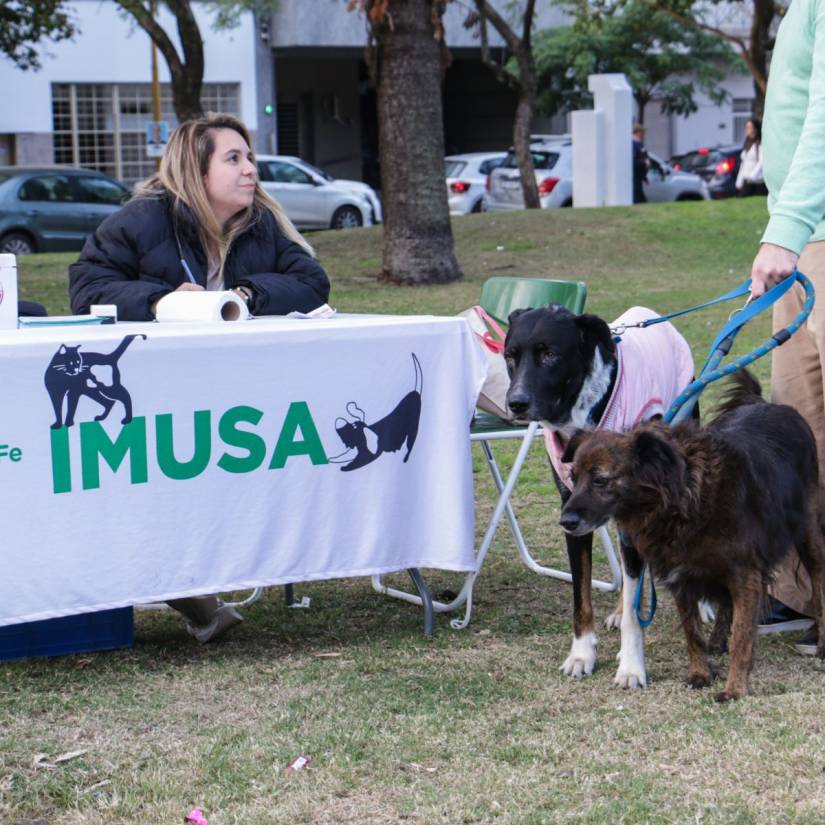 La Muni Cerca llega a Los Troncos