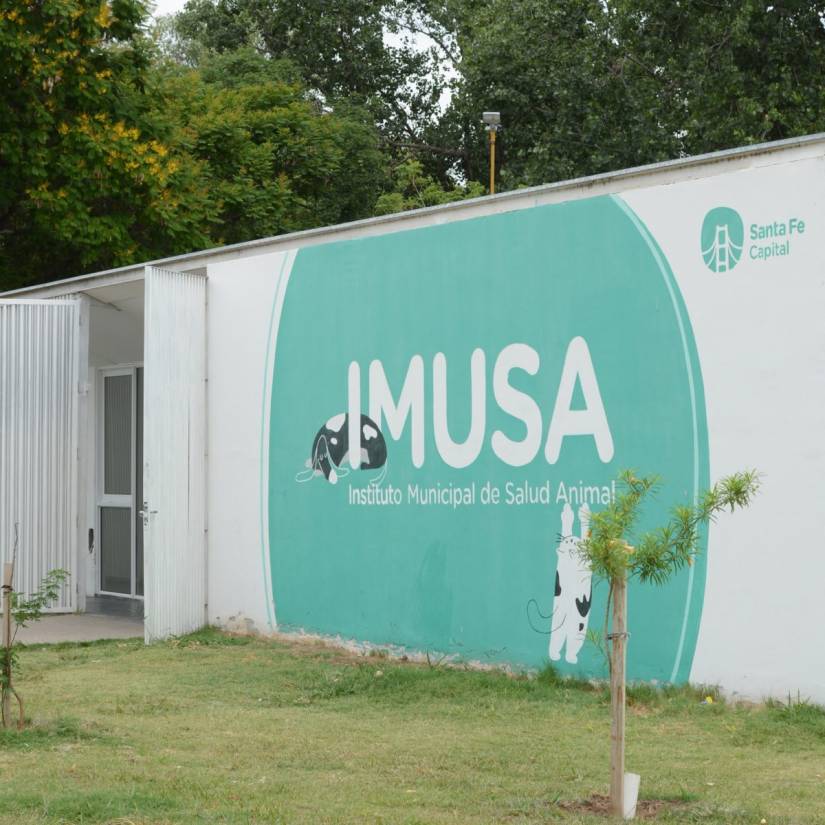 La Municipalidad suma un formulario online para registrar perros de razas peligrosas