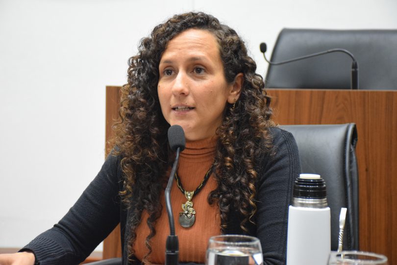 El Concejo pide que se garantice la atención pediátrica en Santa Fe