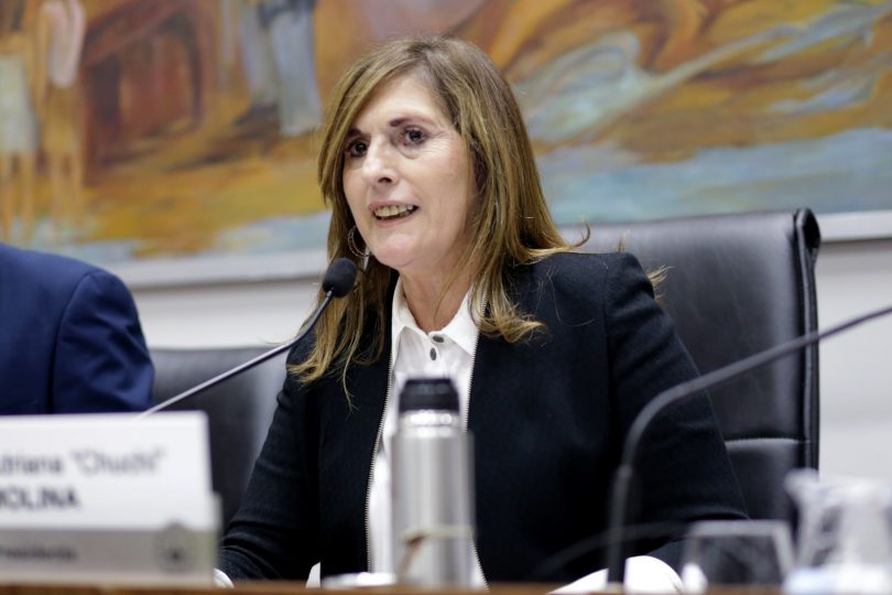 Se harán gestiones para garantizar que Santa Fe sea parte de la licitación de la Hidrovía