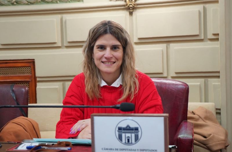 Diputada Mancini: 