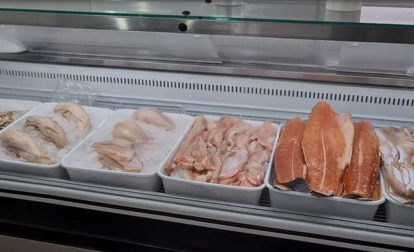 La Municipalidad facilita la venta de pescado de mar a precios populares